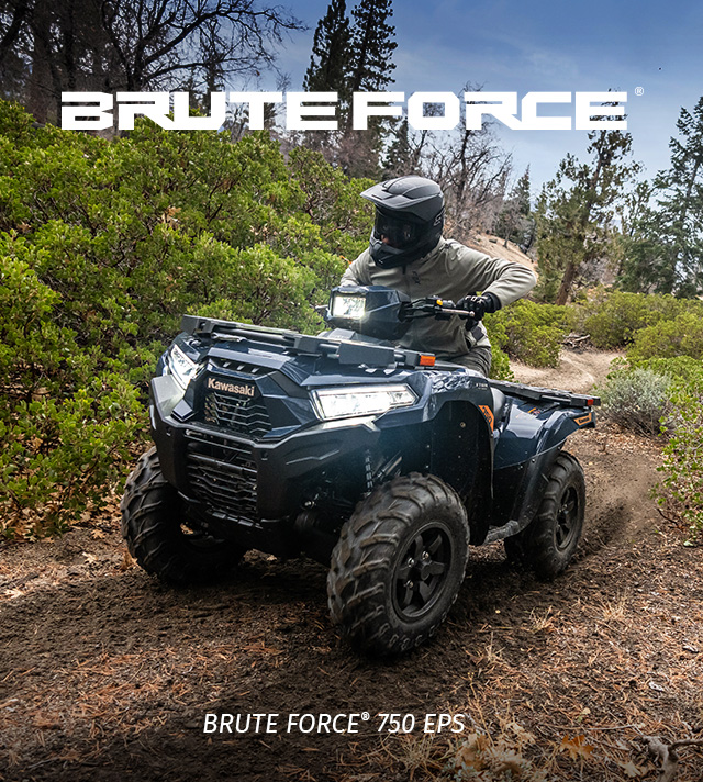 Brute Force FAMILY:  SMALL IMAGE