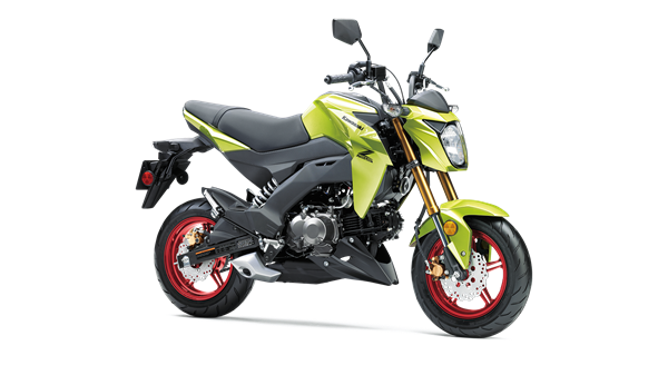 Z125 PRO